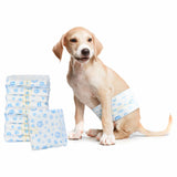 Pannolino usa e getta per cani maschi 30 pcs Bianco XS