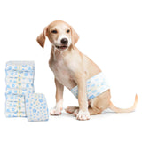 Pannolino usa e getta per cani maschi 30 pcs Bianco M