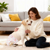 Pannolino usa e getta per cani femmina 30 pcs Bianco L