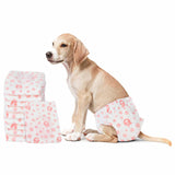 Pannolino usa e getta per cani femmina 30 pcs Bianco L
