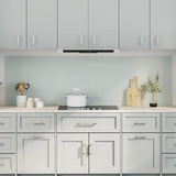 Rivestimento da Cucina 2 pcs Bianco 100 x 60 cm vetro temperato