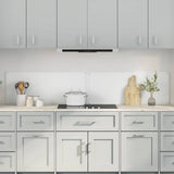 Rivestimento da Cucina 2 pcs Trasparente 100 x 40 cm