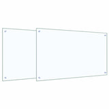 Rivestimento da Cucina 2 pcs Trasparente 100 x 60 cm
