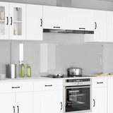 Schienale da cucina 2 pcs Trasparente 100 x 60 cm