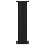 Supporto per piante 2 pcs Nero 30,5 x 30 x 100,5 cm