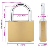 U Lock con Chiavi Ottone 7,4 x 2,1 x 10,6 cm Ferro