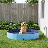 Piscina per Cani Blu 300 x 38 cm PVC Spesso