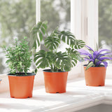 Vaso Rotondo per Fiori 200 pcs Terracotta  10 x 8 cm Plastica