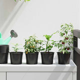 Vaso Rotondo per Fiori 200 pcs Nero  10 x 8 cm Plastica