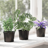 Vaso Rotondo per Fiori 200 pcs Nero  10 x 8 cm Plastica