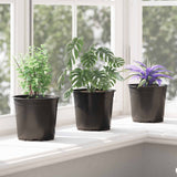 Vaso per Fiori 200 pcs Nero  15 x 13 cm Plastica