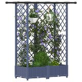 Letto Rialzato con Griglia e Tetto Grigio 124 x 40 x 123 cm PP
