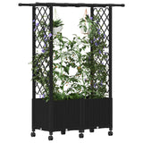 Letto Rialzato con Griglia e Tetto Nero 124,5 x 40 x 142 cm PP