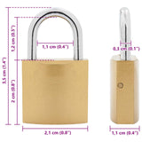 U Lock con Chiavi 6 pcs Ottone Ferro