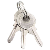 U Lock con Chiavi 6 pcs Ottone Ferro