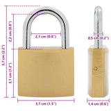U Lock con Chiavi 6 pcs Ottone Ferro