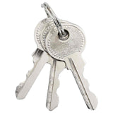 U Lock con Chiavi 6 pcs Ottone Ferro