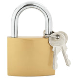 U Lock con Chiavi 12 pcs Ottone Ferro