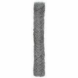 Recinzione a rete metallica Galvanizzato 2 x 20 m Vetro