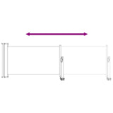Tenda laterale 100 x 300 cm 100% poliestere ferro acciaio