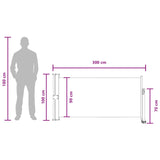 Tenda laterale 100 x 300 cm 100% poliestere ferro acciaio