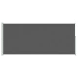 Tenda laterale retrattile Antracite 300 x 220 cm Poliestere