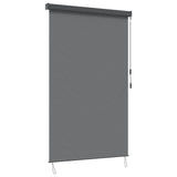 Tenda a rullo Grigio Chiaro 160 x 250 cm Tessuto e Alluminio