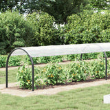 Copertura per Piante Trasparente 1 x 12 m PE