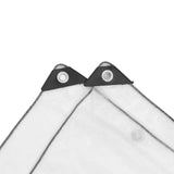 Copertura per Piante Trasparente 8 x 10 m PE