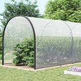 Copertura per Piante Trasparente 10 x 10 m PE