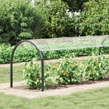 Copertura per Piante Trasparente 1 x 12 m PVC