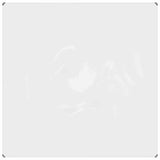 Copertura per Piante Trasparente 2 x 2 m PVC