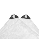 Telo con Occhielli Trasparente 4 x 10 m Polietilene