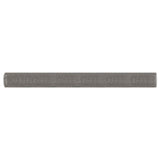 Rete per schermatura 120 x 200 cm 3 Mesh Argento