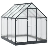 Serra da Giardino con porta Antracite 183,5 x 243,5 x 207 cm