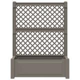 Vaso Grande con Direzione Grigio 99,5 x 43 x 133,5 cm PP