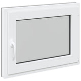 Finestra per Soffitta RISOR 60 x 100 cm PVC e Vetro Antracite
