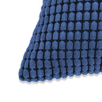 Set di Cuscini 2 pz in Velour 40x60 cm Blu