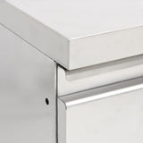 Mobiletti da Cucina Commerciale a 2 Cassetti 2 pz Acciaio Inox